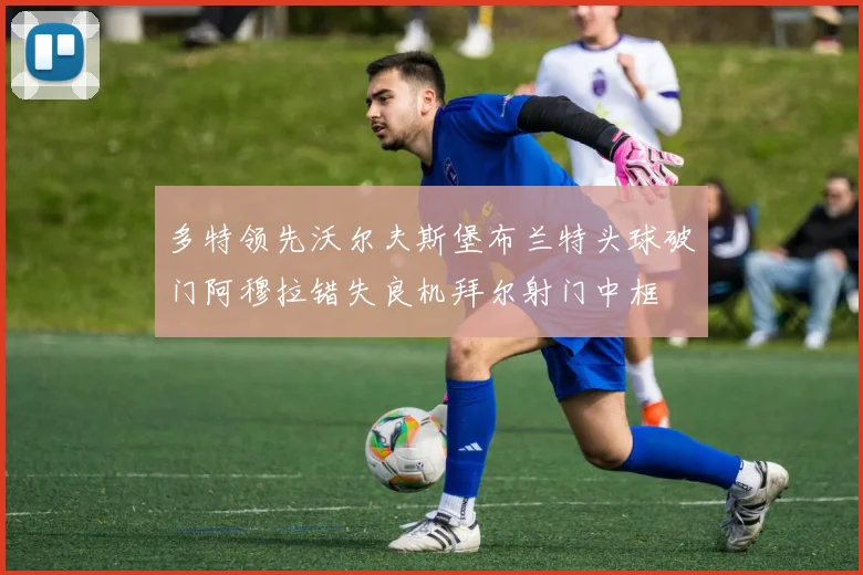 多特领先沃尔夫斯堡布兰特头球破门阿穆拉错失良机拜尔射门中框